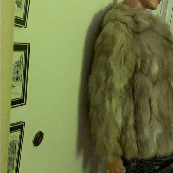 Vintage silver fox 🌹HP🌹 - Picture 2 of 13